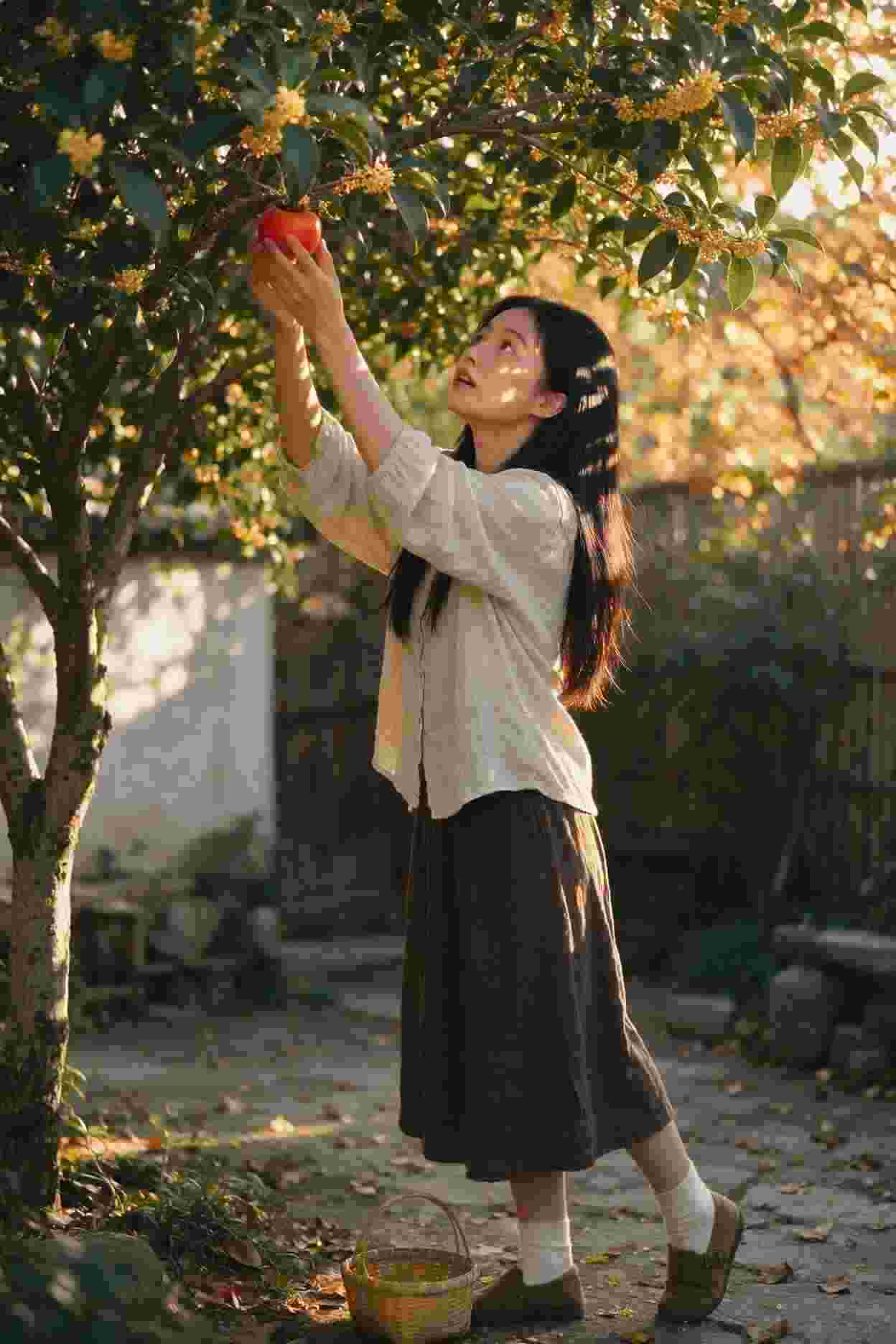开心麻花年度回顾